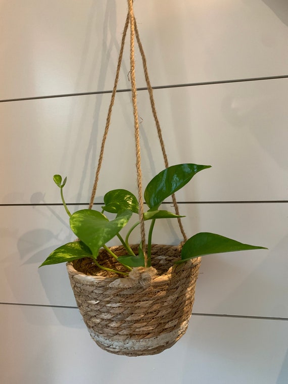 Wall basket hanger hotsell