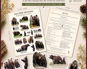 Juego de 399 pegatinas Grizzly con tarjeta de historia / Pegatinas de vinilo impermeables / Grand Teton / Regalo para amantes de los osos / Colección Legacy