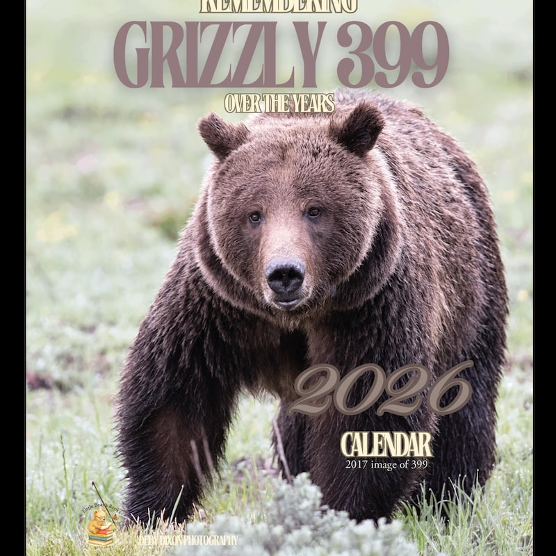 2026-bear-calendars-etsy