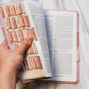 Custom Pink Bible with Tabs | NIV Women’s Bible | Personalized Christian Gift