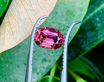 Natural Pink Spinel 1.10 Ct – Loose Gemstone from Afghanistan