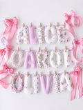Personalized Name Garland, Pink Floral Coquette Style, Baby Name Banner, Vintage Floral Grandmillennial Nursery Decor, Quilted Fabric Letter product logo