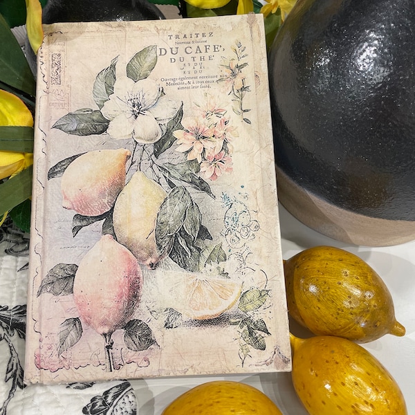 Old Book Decor, Altered Book, Lemon Book Cover, Up-cycled Book, Shabby Chic Decor