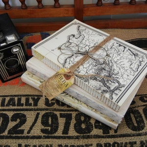 VINTAGE BOOK BUNDLE Set of Three Upcycled Distressed Altered Books Wedding Decor