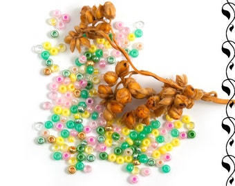 10/0 Czech Glass Seed Beads Preciosa (20g) MIX Light