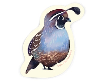 California Quail Vinyl Sticker