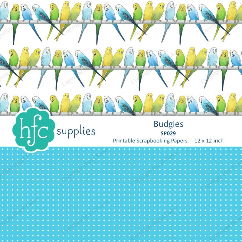 Budgie Digital Papers Budgerigar Parakeet Pet Bird 8 Etsy