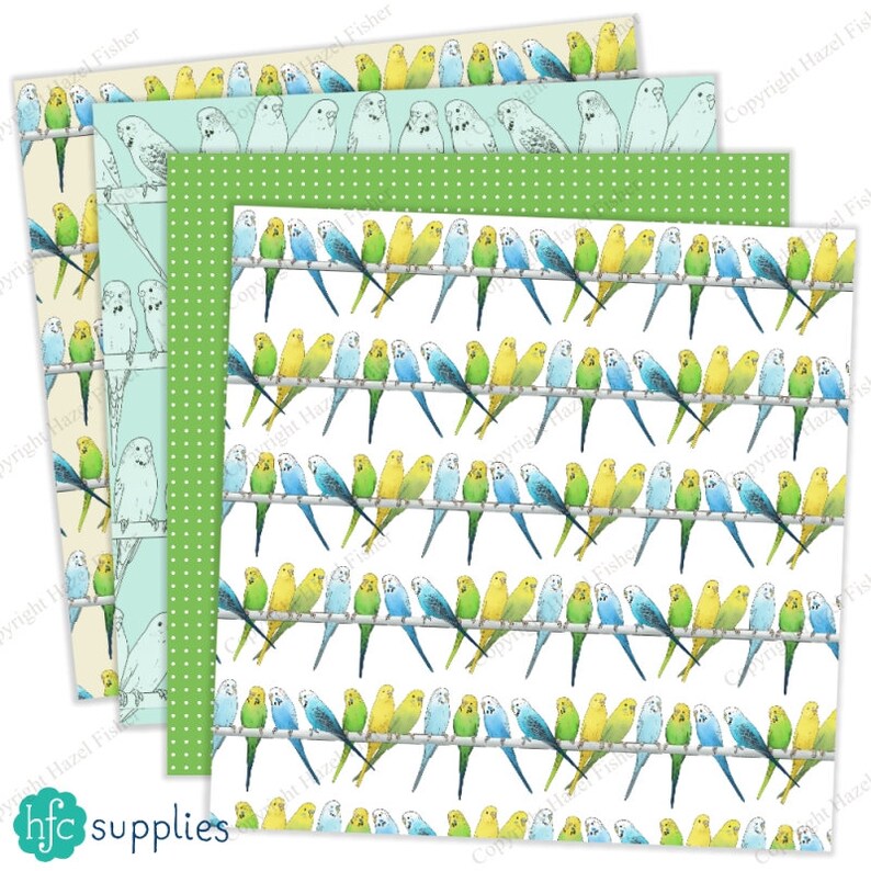 Budgie Digital Papers Budgerigar Parakeet Pet Bird 8 Etsy