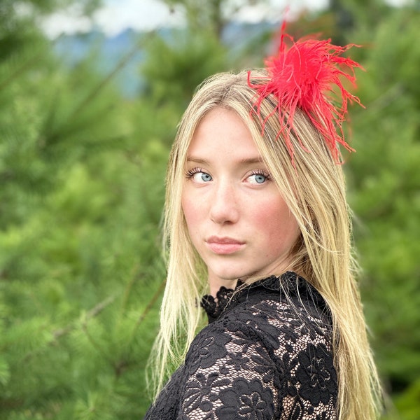 Red feather clip, red hair clip, ostrich feather clip,feather clip,ostrich clip,photo prop, holiday feather clip, ready to ship, Christmas