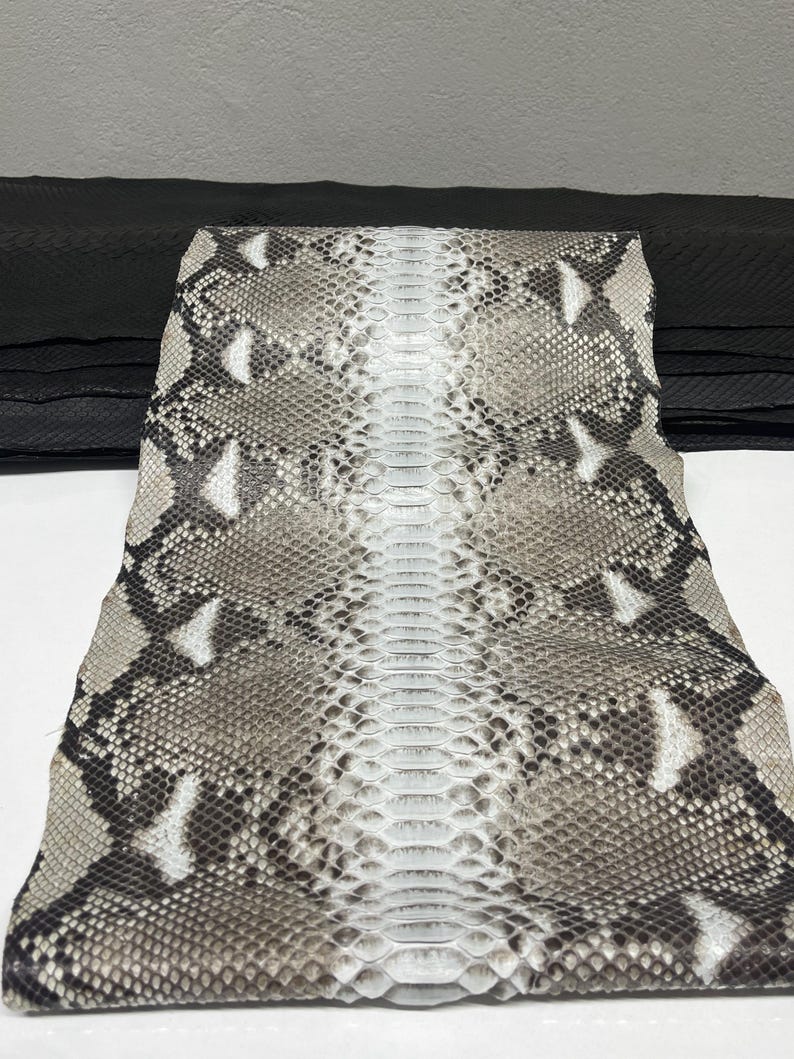 以下が含まれることがあります： グレー、白、茶色の自然な模様のヘビ革。 ヘビ革は折りたたまれ、質感のある鱗と独特の模様が明らかになっています。 背景には黒い革の山があります。