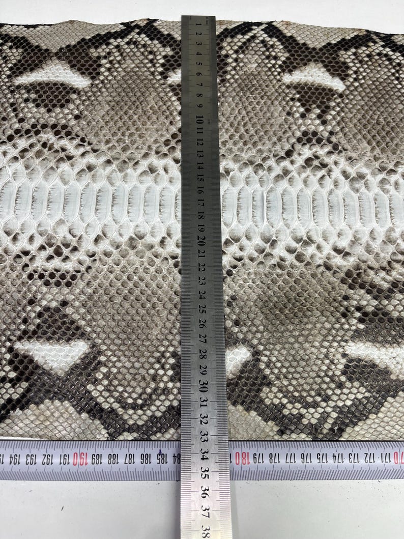 以下が含まれることがあります： ヘビ革の切れ端。白、グレー、茶色の鱗模様。定規で長さを測っており、約38cmです。