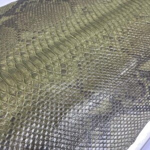 Peut inclure: Gros plan sur un morceau de peau de serpent. La peau pr&eacute;sente un motif d'&eacute;cailles dans des tons de vert, de gris et de noir. La texture est rugueuse et bossel&eacute;e, avec un aspect naturel et organique. La peau est probablement utilis&eacute;e pour l'artisanat.