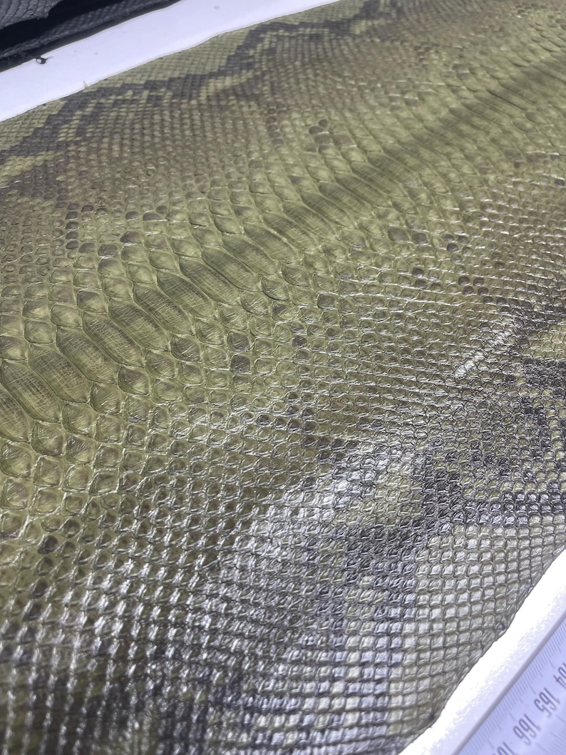 Peut inclure: Gros plan sur un morceau de peau de serpent. La peau pr&eacute;sente un motif d'&eacute;cailles dans des tons de vert, de gris et de noir. La texture est rugueuse et bossel&eacute;e, avec un aspect naturel et organique. La peau est probablement utilis&eacute;e pour l'artisanat.