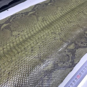 Könnte beinhalten: Nahaufnahme eines Schlangenmuster in Grün- und Grautönen. Die strukturierte Oberfläche zeigt ein schuppenartiges Design. Ein schwarzes Material ist in der oberen linken Ecke sichtbar. Ein Lineal mit Zentimetermarkierungen ist zu sehen.