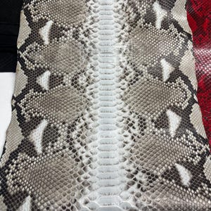 以下が含まれることがあります： グレー、白、黒の鱗模様のヘビ革のクローズアップ。中央の背骨部分は明るいクリーム色です。革の端には、赤と黒の革が少し見えます。