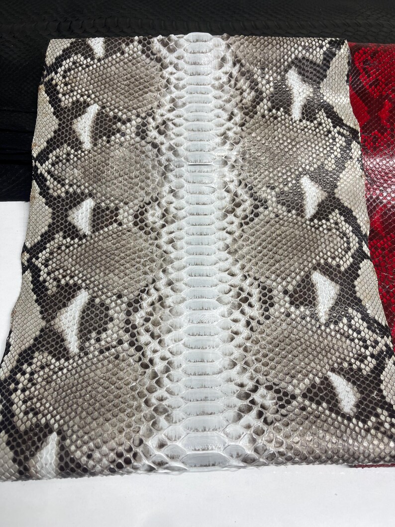 以下が含まれることがあります： グレー、白、黒の鱗模様のヘビ革のクローズアップ。中央の背骨部分は明るいクリーム色です。革の端には、赤と黒の革が少し見えます。