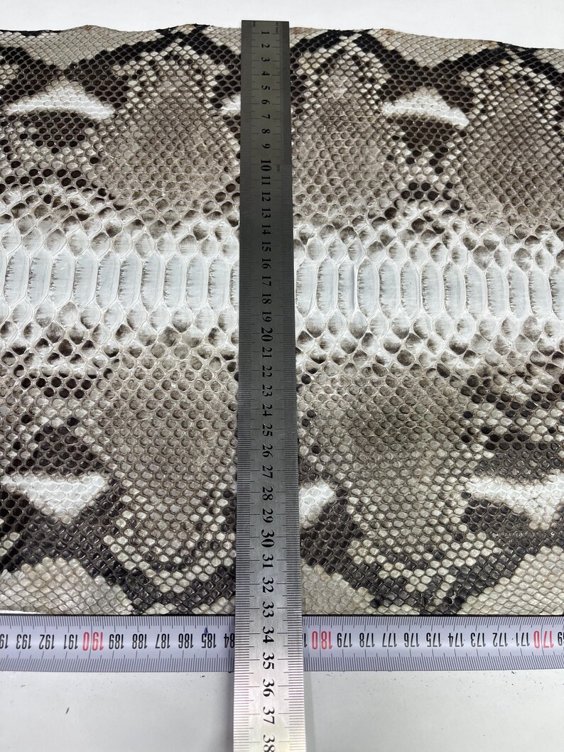 以下が含まれることがあります： グレー、ブラウン、白の鱗模様のヘビ革。金属製の定規が革の上に垂直に配置され、センチメートル単位の測定値が表示されています。革の中央には白いストライプがあります。