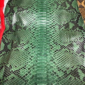 Può includere: Primo piano di pelle di serpente verde con segni neri. La pelle ha una superficie strutturata e un motivo naturale. L'immagine mostra anche un pezzo di pelle rossa e un pezzo di pelle marrone con un motivo giallo.