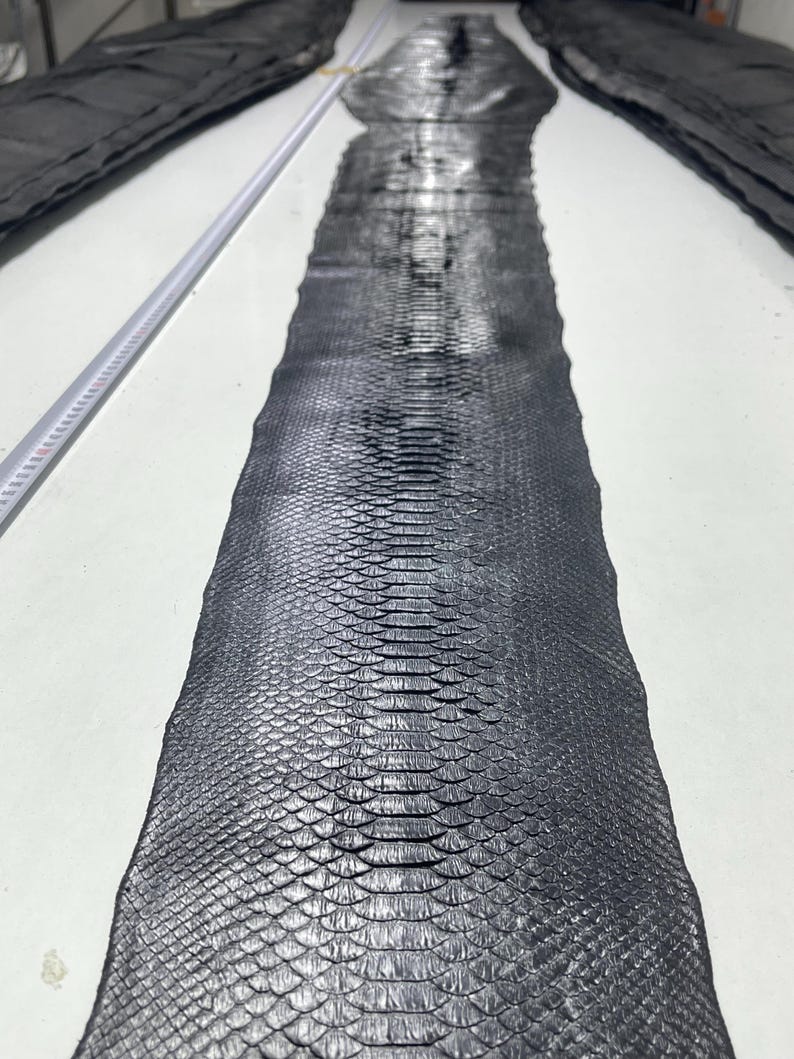 Genuine Black Python Skin: Exotic Leather Hide for Crafting - Etsy