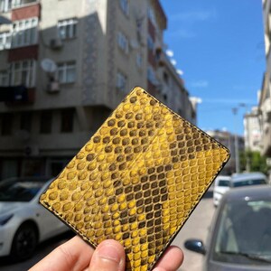 May include: A yellow and brown snakeskin-patterned wallet. The rectangular wallet has rounded corners and a black border. The snakeskin pattern is detailed and textured, with yellow and brown scales. The wallet is held in a hand.