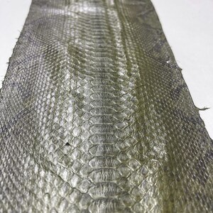 Peut inclure: Une longue pi&egrave;ce de peau de serpent vert olive et grise. Les &eacute;cailles sont visibles et d&eacute;taill&eacute;es, avec un motif qui court le long du centre. La peau semble souple et a un &eacute;clat naturel.