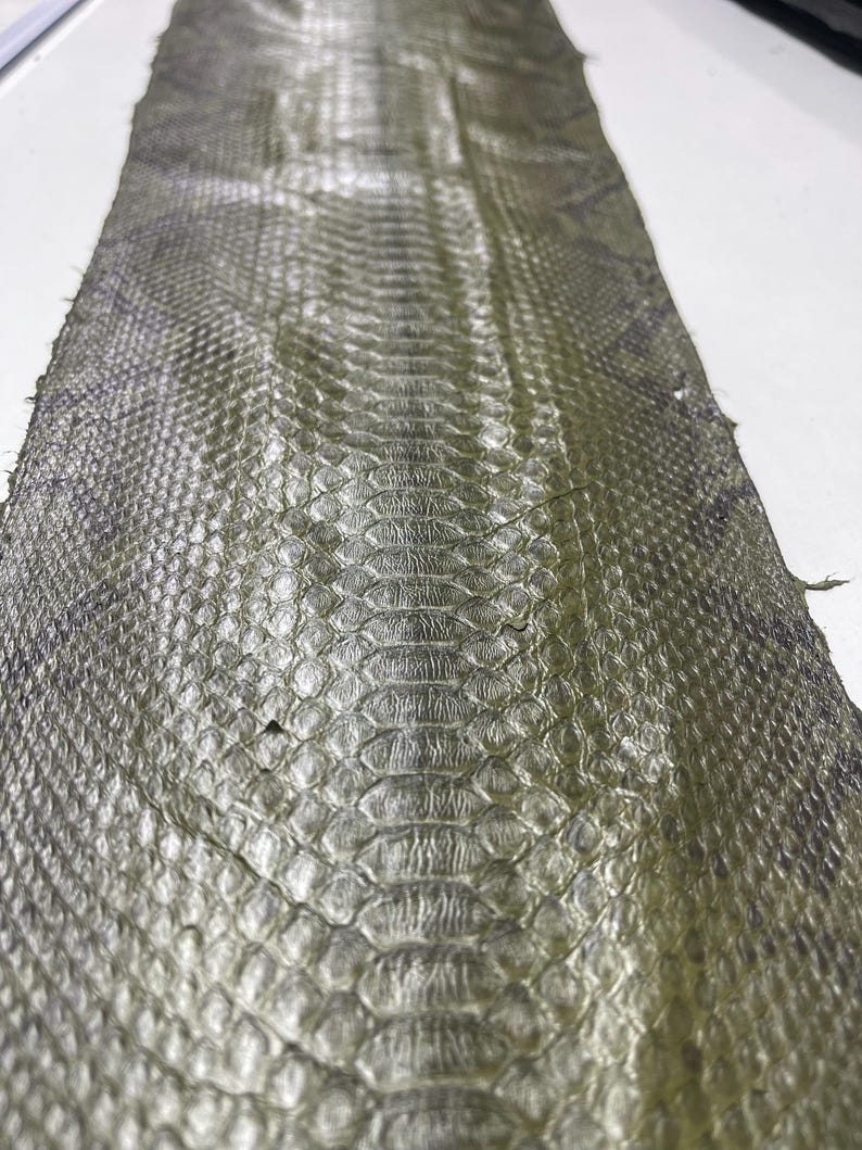 Peut inclure: Une longue pi&egrave;ce de peau de serpent vert olive et grise. Les &eacute;cailles sont visibles et d&eacute;taill&eacute;es, avec un motif qui court le long du centre. La peau semble souple et a un &eacute;clat naturel.