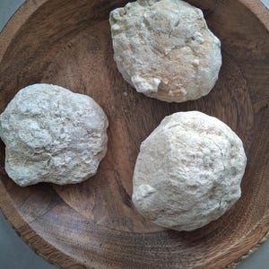 Peut inclure: Trois roches claires de forme irrégulière reposent dans un bol rond en bois. Les roches ont une surface rugueuse et texturée. Le bol en bois présente un grain visible. Les roches varient légèrement en taille.