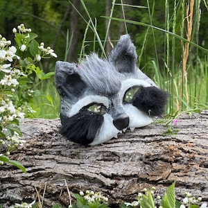 Maschera Teriana - Procione