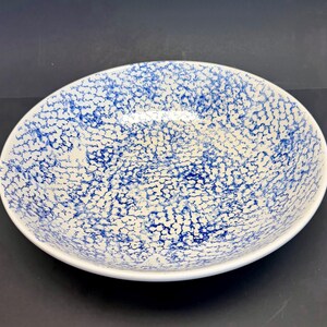 Könnte beinhalten: Eine weiße Keramikschale mit blauem Sprenkelmuster. Die Schale hat eine breite, flache Form und eine glatte, glänzende Oberfläche. Das blaue Muster bedeckt das Innere der Schale und erzeugt ein strukturiertes Aussehen. Die Schale steht vor einem dunklen Hintergrund.