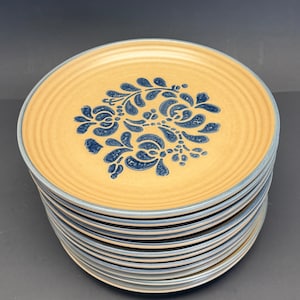 May include: A stack of ceramic plates with a tan center and blue floral design. The plates have a blue rim and a ridged texture. The floral pattern is a stylized arrangement of leaves and flowers.