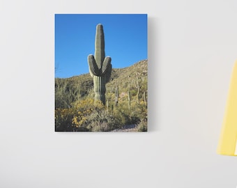 Saguaro Cactus Gallery Wrapped Canvas Wall Art - Arizona Desert Print - Sonoran Landscape