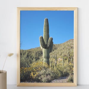 Saguaro Cactus Digital Download Wall Art | Arizona Desert Print | Sonoran Landscape Photo