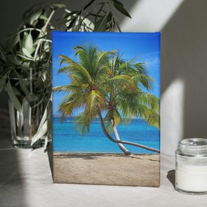St. Croix Gallery Wrapped Palm Tree Art Canvas Print, Tropical Wall Decor, Beach Vibes, Home Bar Art, Gift for Caribbean Lovers, summer