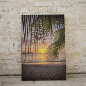 St. Croix Gallery Wrapped Palm Tree Art Canvas Print, Tropical Wall Decor, Beach Vibes, Home Bar Art, Gift for Caribbean Lovers, summer