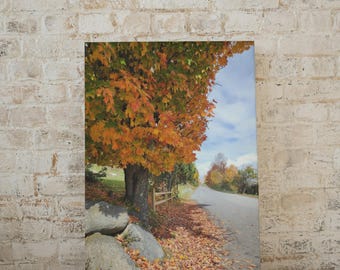 May include: A canvas print depicting an autumnal scene with a tree displaying orange and green foliage. Fallen leaves are scattered along a road and a wooden fence. Large rocks are at the tree's base. The sky is blue with clouds.