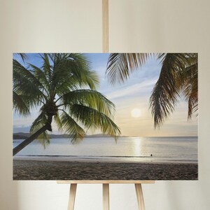 St. Croix Caribbean Ocean Gallery Wrapped Canvas | Tropical Beach Sunset Art | Relaxing Coastal Palm Tree Decor | Beach House Canvas