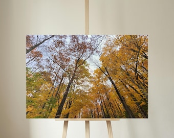 Impresión en lienzo del bosque otoñal de Vermont / Follaje otoñal colorido