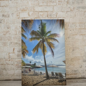 St. Croix Beach Paradise Gallery Wrapped Canvas | Tropical Palm Tree Wall Art | Caribbean Vacation | Island Ocean Photography