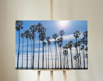Santa Barbara Palm Tree Canvas Print | California Coastal Photography