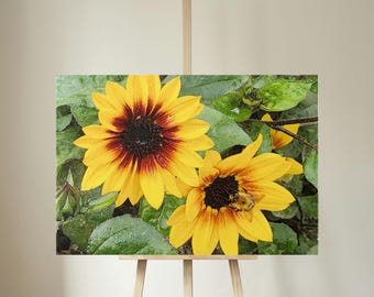 Gallery Wrapped Canvas Vibrant Yellow Sunflowers with Honeybee - Nature Macro Photography of Blooming Flowers and Pollinator in Garden