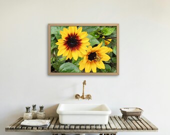 Vibrant Yellow Sunflowers with Honeybee – Nature Macro Photography of Blooming Flowers & Pollinator in Garden After Rain - Digital Download