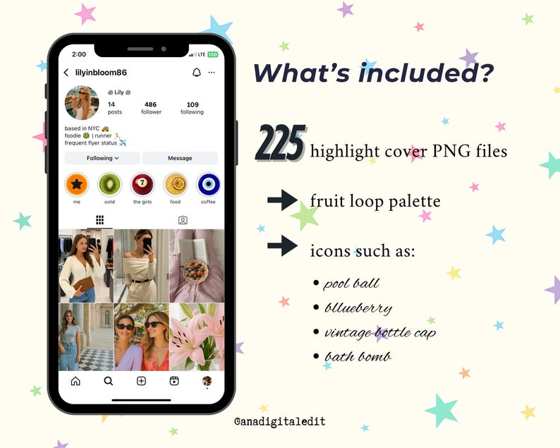 May include: A smartphone screen shows an Instagram profile with the text "What's included?" and "225 highlight cover PNG files." The image includes a "fruit loop palette" and icons such as a pool ball, blueberry, and vintage bottle cap.