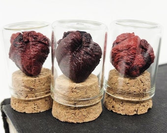 SALE! Real Dry Preserved Piglet Heart in Corked Glass Jar