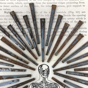 Ten 2.25" Rusty Coffin Nails Vintage Square Head - Set of 10 - 2 1/4” - Crafting, Jewelry, Altar, Movie Prop, Oddities, Medical Collection