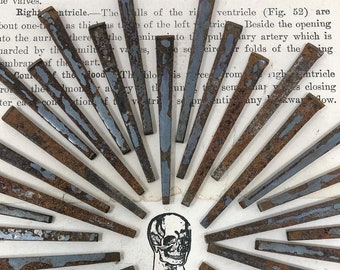 Ten 2.25&quot; Rusty Coffin Nails Vintage Square Head - Set of 10 - 2 1/4” - Crafting, Jewelry, Altar, Movie Prop, Oddities, Medical Collection