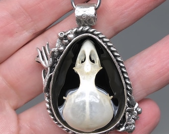 Sparrows Flight: Real House Sparrow Skull Pendant Necklace