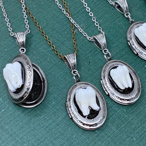 One Real Human Tooth Locket Pendant Necklace in Antique Brass - Opens For Your Photos, Hair, Artwork - Victorian Style Molar Locket