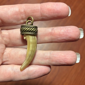 LAST ONE! Large Badger Claw Pendant Necklace - Real Bone and Claw Jewelry
