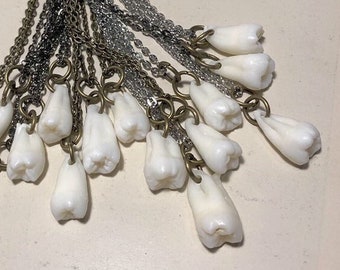 SALE! One Real Human Tooth Pendant Necklace