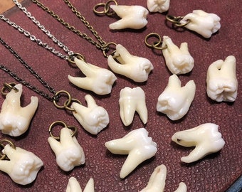 ULTIMATES: One Real Human Tooth Pendant Necklace with 2 or 3 Roots - FREEUSSHIP
